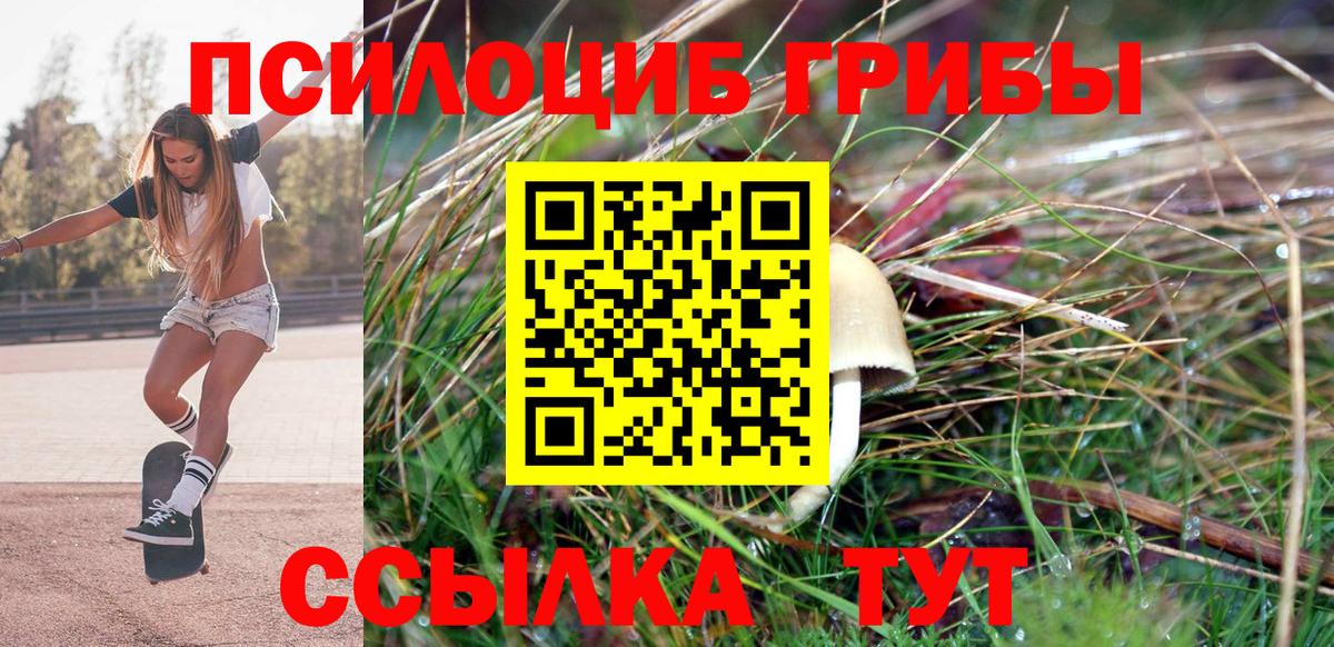 Псилоцибиновые грибы мухоморы  Галлюциногенные грибы GOLDEN TEACHER  Берёзовский  Вход с VPN 
